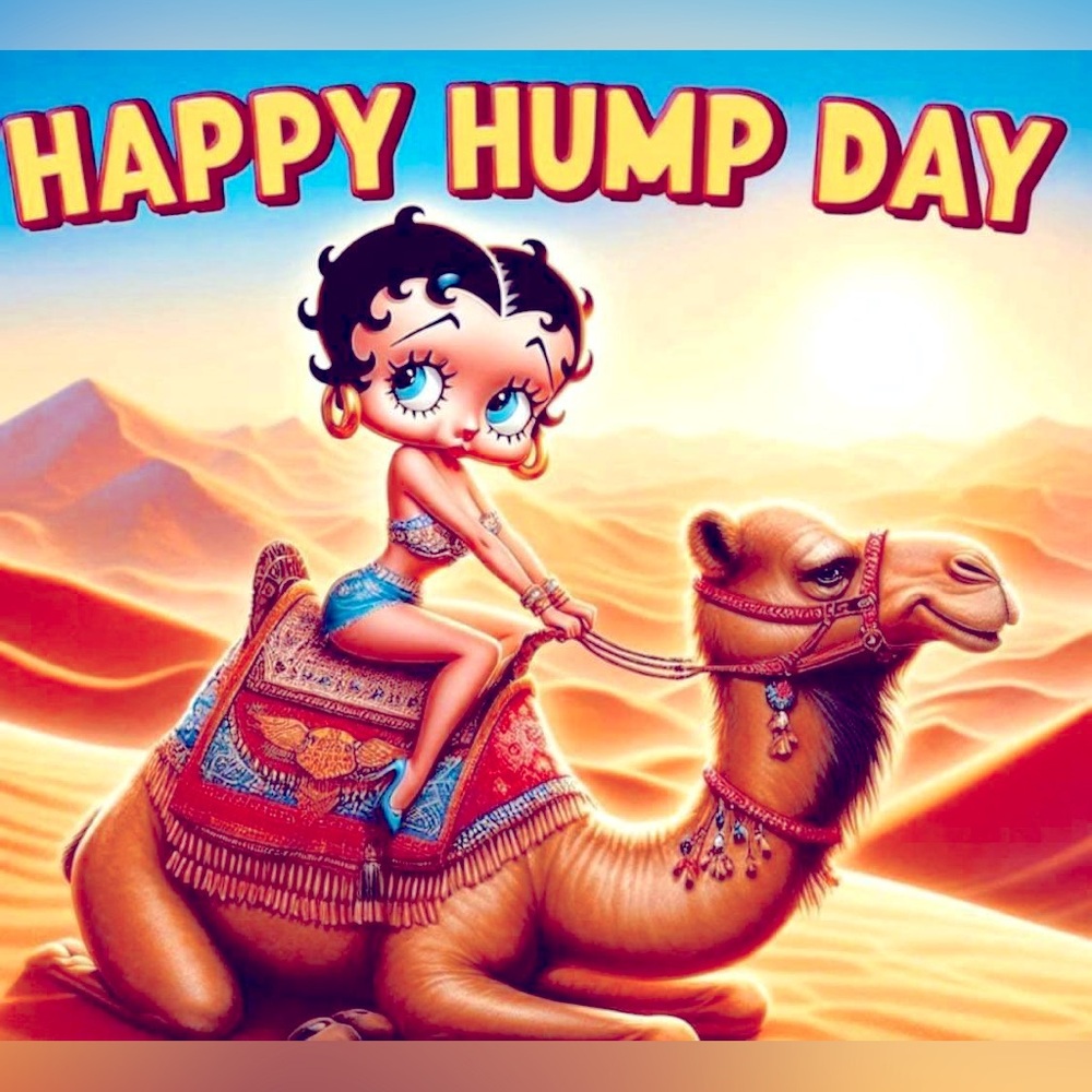 Sign Wednesday hump day Betty boop